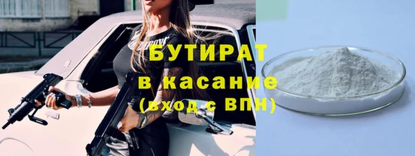 гидра Тавда