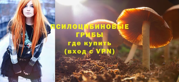 меф Сясьстрой