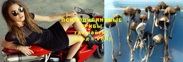 меф Сясьстрой