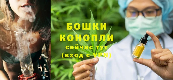 гидра Тавда