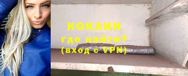 гидра Тавда